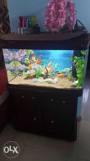 3 feet moulded MJ company aquarium tank with