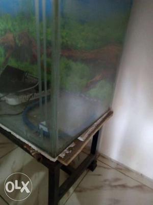 3 ft Aquarium with iron stand and filter