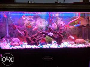 4 feet aquarium with cupboard table for sell