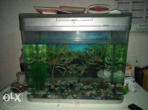 5 month's old fish tank curved Fiber shape 1&half feet