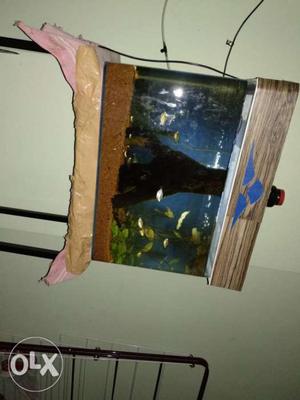 Aquarium 1feet molded tank with stand