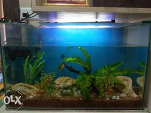 Aquarium size 15x18x30