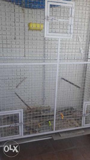 Bird cage with wheel 5ft