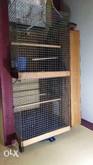 Birds cage 10days old with 2 compartments..