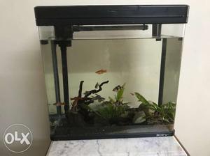Boyu Fish Tank - Aquarium - Excellent Condition