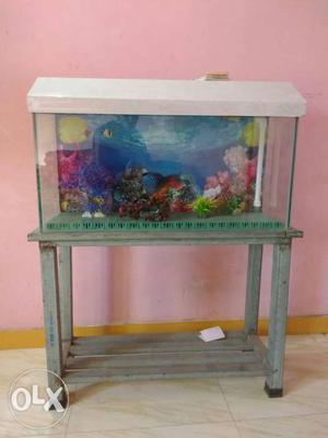 Clear Fish Tank With White Lid