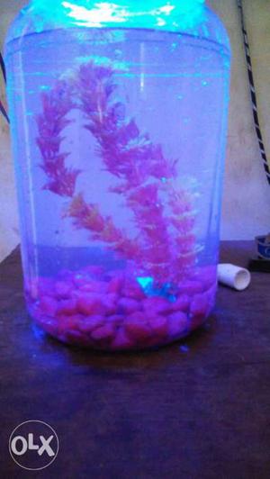Clear Plastic Fish Tank