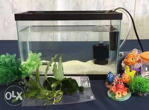 Fish Aquarium All Size in very resonable price