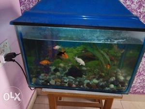 Fish aquariam for sale