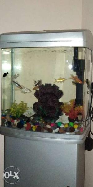 Fish aquarium with stand and motor,stones,with