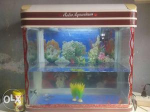 Fish pot &9fish for sale urjent