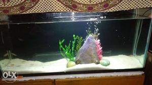 Fish tank 4ft 4ft length 2ft height 1ft writh 1 (