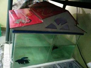 Fish tank at just rs450. center plate will be