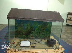 Fish tank wid cover & sponge filter size 2ft