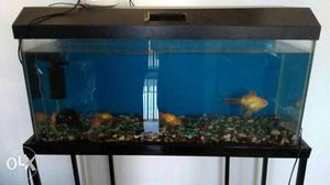 Fish tank with Iron stand for sale. Tank