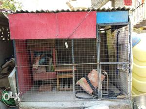 Good quality dog cage Only  Yavatmal jamnkar nagar