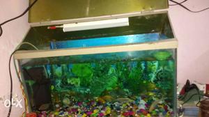 I want to sell my fishtank aquarium. (10 gold