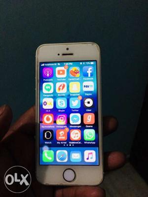 Iphone 5s out of warranty 16gb indian with all