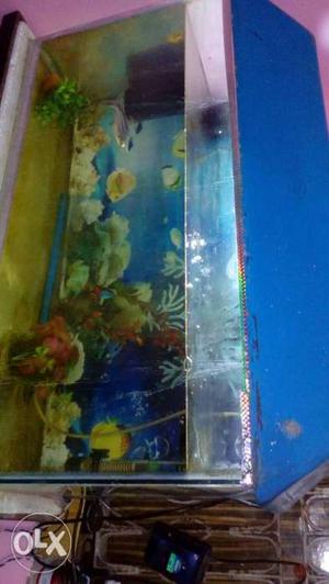 New condition aquarium argent sell