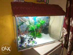 New fish tank size  with filter unit,