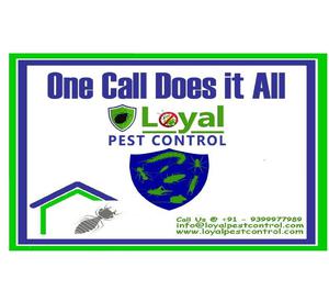 Pest and Termite Control Services in Nellore Nellore
