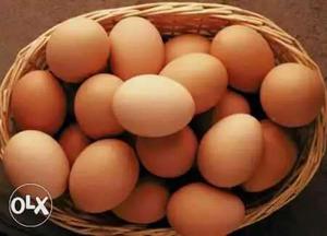 Poultry Egg Lot
