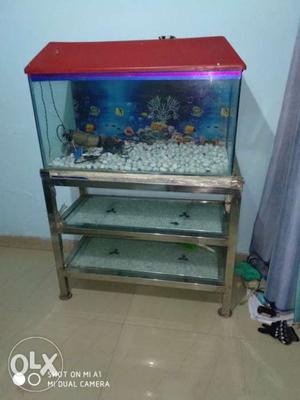 Rectangular Fish Tank With Red Lid