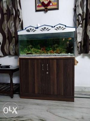 Rectangular Framed Fish Tank With Brown Wooden Sideboard.