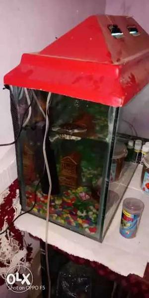 Red framed fish tank 2golden fish and 7beautiful