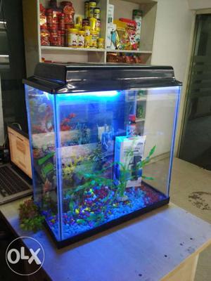 Tower fish aquarium with fish and all