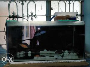 Want to sell my new aquarium painted black