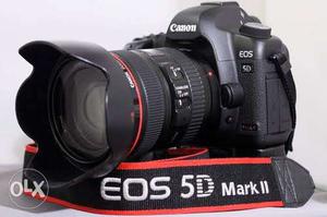 5d mark2 rent only  leans cl:three