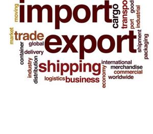 Import-Export Online Training Ludhiana
