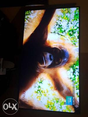 Samsung Smart 4k 55 inch Led TV for just 