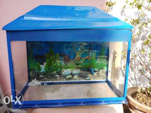 20L fish tank with pump, fish light, thermostat