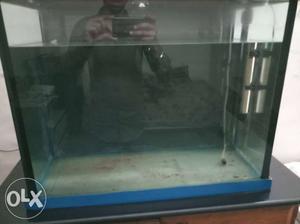 2ft clear fish tank with blue base and top cover