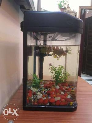 Aquarium used only 5 month selling b.cause I want