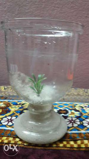 Aquarium/Fish pot,looks like cricket cup