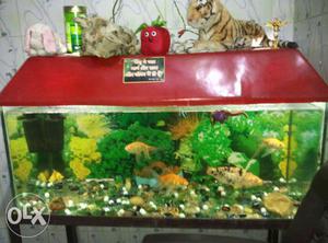 Fish aquarium with iron stand in very low price