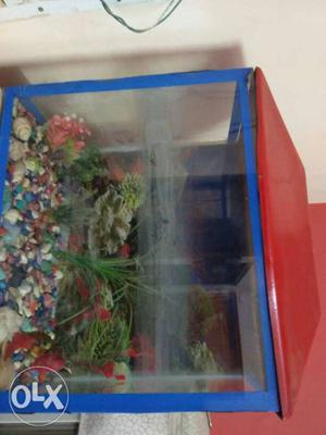 Fish aquarium with oxygen supplier, filter and