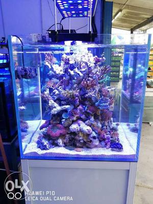 Fish cue aquarium decorators