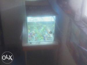 Fish tank readymade 1×2 feet