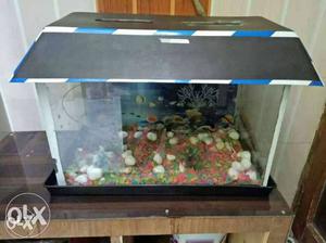 Fish tank size 1.5*2