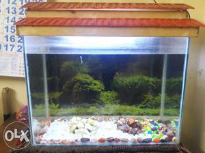 Hi all i want to sell my fish tank with power