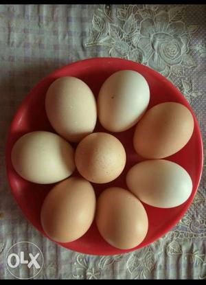 Organic Country Eggs
