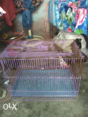 Pink Steel Animal Cage