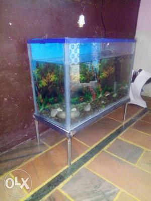 Rectangular Brown Framed Clear Fish Tank