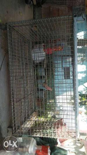 Rectangular Gray Metal Outdoor Pet Cage