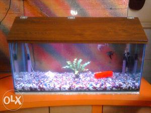 Used 3 Feet Fish Tank and Cover Rs:. at Kalwa