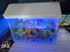 White And Blue Framedfish Tank